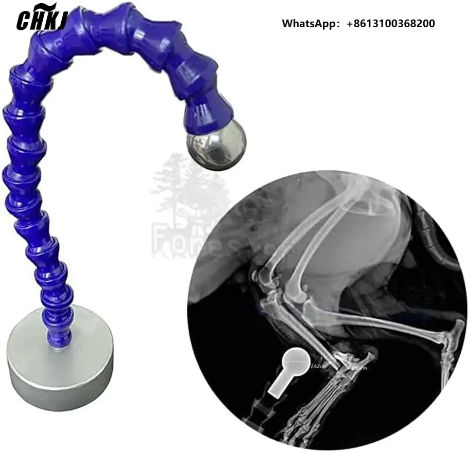 Veterinary X-Ray - Bola de Referência Radiográfica para Raios-X,